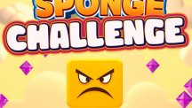 Sponge Challenge img